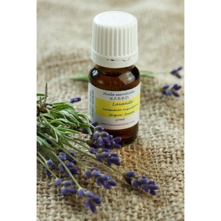 Эфирное масло лаванды Lavandula burnatii 10 мл Франция